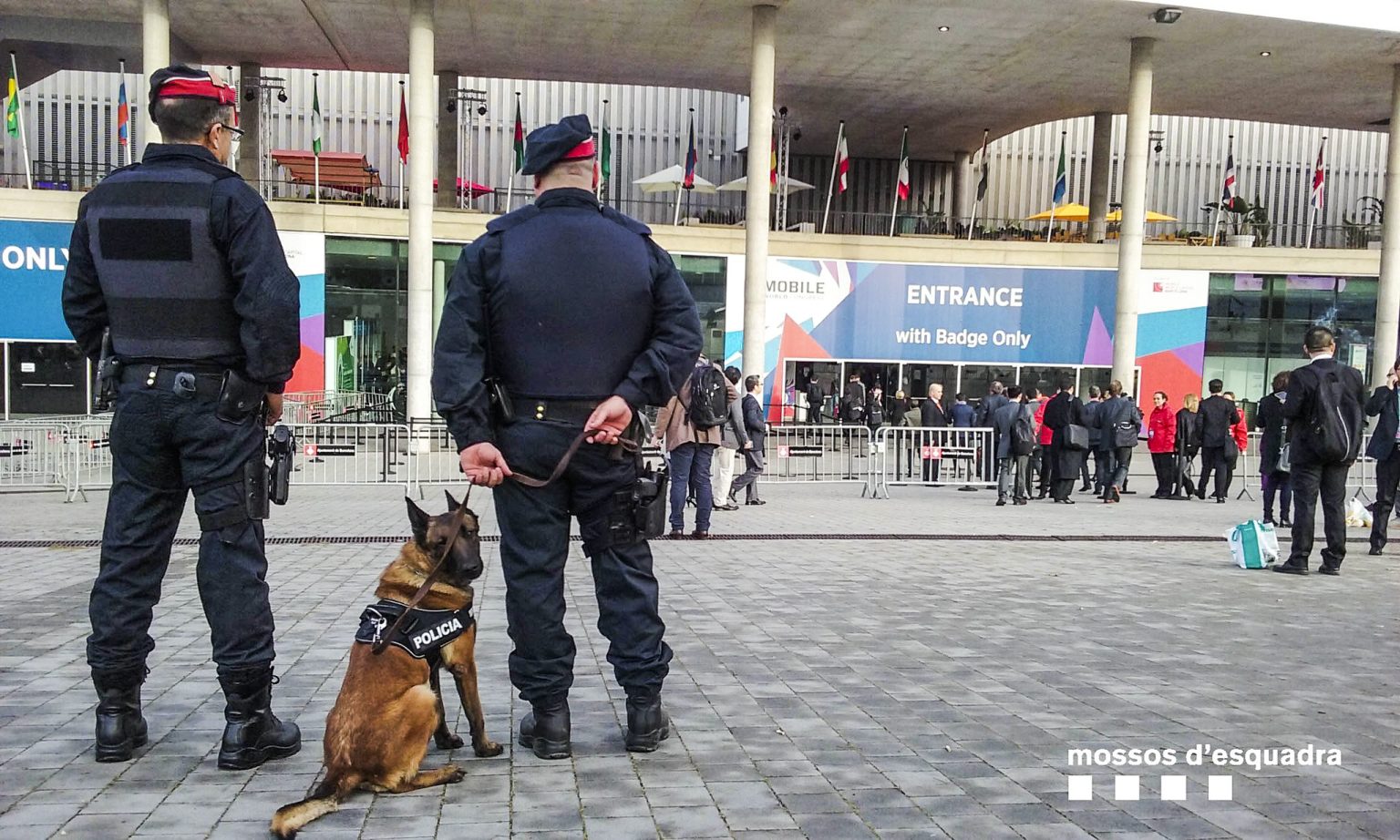 La Unidad Canina de los Mossos d Esquadra Funciones y Características